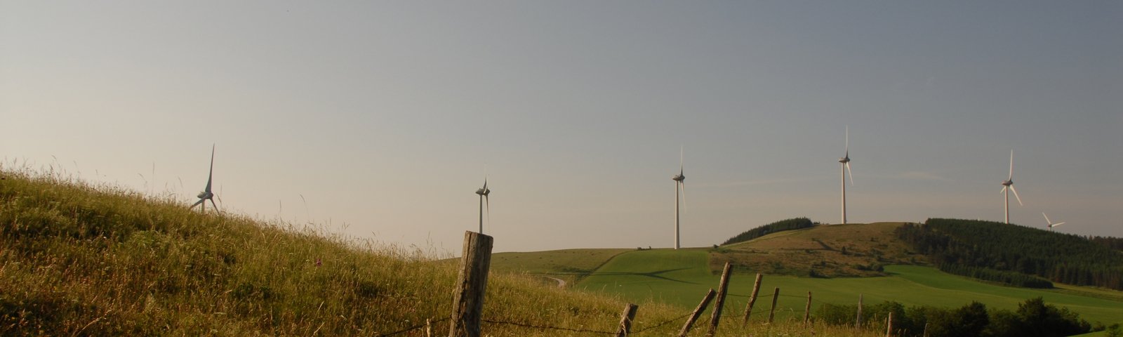 margnes-1-_1600x480.jpg